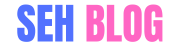 seh blog